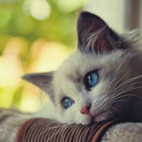 Người chơi Gia Hưng tại m66 bet